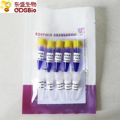 China Taq Mix PCR Master Kit #P2012 5ml for sale