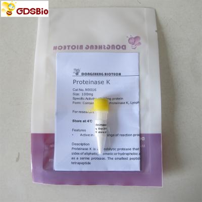 China Proteinase K Powder N9016 Molecular Biology Grade In Vitro Diagnostic Products for sale