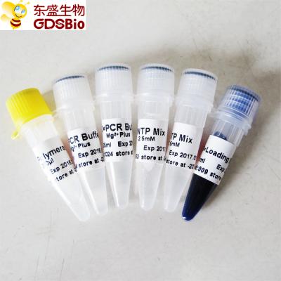 China GDSBio Taq DNA Polymerase For PCR Master Mix for sale