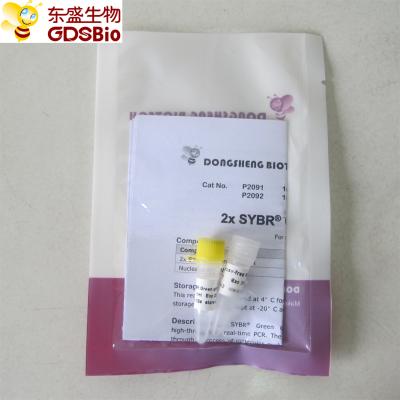 China Real Time SYBR Green Master Mix QPCR P2092 Colourless Appearance for sale