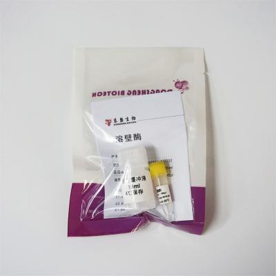 Chine solution sans couleur des enzymes N9032 de 150ul 300ul Lyticase à vendre