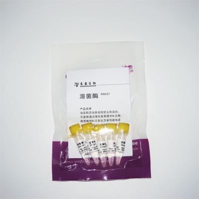 China Enzima de la lisozima para el retiro de la pared celular de los productos de diagnóstico ines vitro grampositivos de las bacterias N9021 en venta