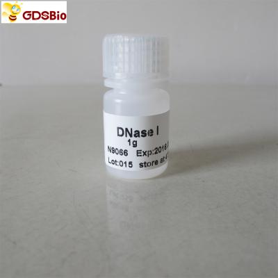 China DNase eu pulverizo produtos diagnósticos de N9066 1g in vitro à venda