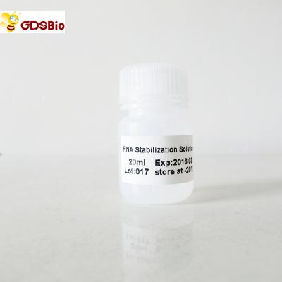 China Productos de diagnóstico ines vitro de la solución R2071 20ml de la estabilización del ARN en venta