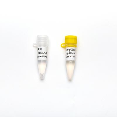 中国 U P2801/P2802/P2803/P2804と集中された予混合の直接多重調査2× QPCR PCRの試薬の組合せ 販売のため