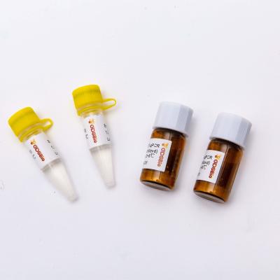 China 200rxn Lyophilized 2X One Step RT QPCR Master Mix V5007L for sale