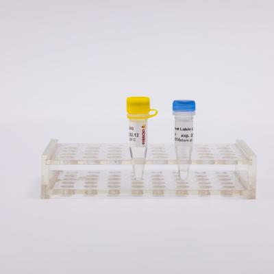 China Mistura mestra Labile do calor para enzima altamente eficaz da contaminação do PCR UDG do tempo real a anti à venda