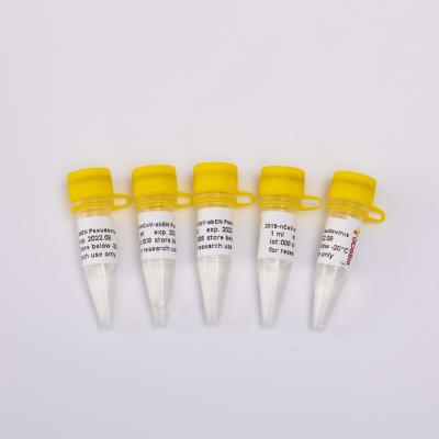 Cina Corredo acido nucleico 2019-NCoV-AbEN Pseudovirus V1001 V1002 V1003 di purificazione di GDSBio in vendita