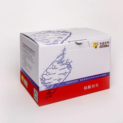 중국 일반적 RNA 추출 키트 R1051 50 준비 판매용