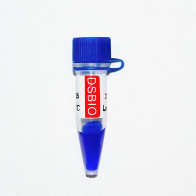 China 1000bp DS 5000 DNA Electrophoresis Marker , DNA Ladder For RNA Gel for sale