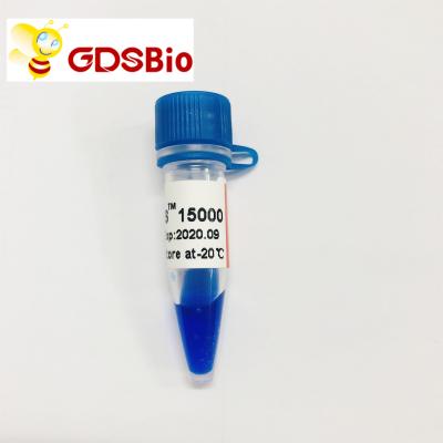 China LD DS 15000bp 15kb DNA Marker Electrophoresis 50 Preps for sale