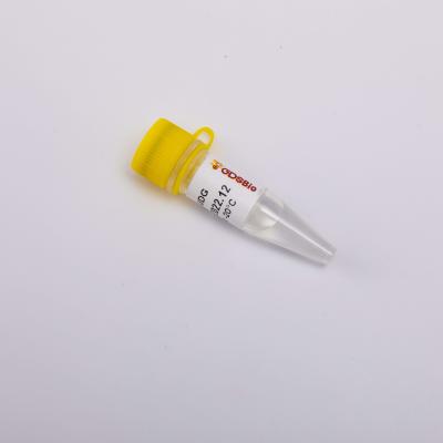 Chine Kit acide nucléique viral de l'extraction R6001 à vendre
