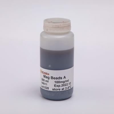 Chine Kit magnétique d'extraction d'ARN des perles N8011/N8021/N8031/N8041 à vendre