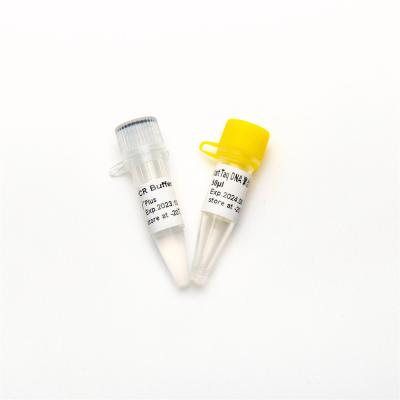 China QPCR Hotstart Taq ADN polimerasa RT-PCR enzima P1101 en venta