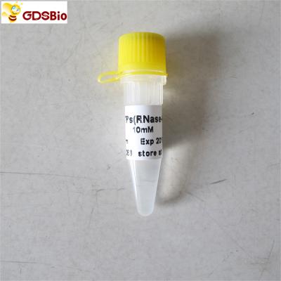China RNase Free DNTP Mix R2051 0.5ml Aqueous Solutions for sale
