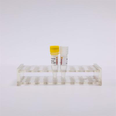 China RNA Reverse Transcription And Endpoint PCR Kit One Step RT PCR Mix RP1001 for sale