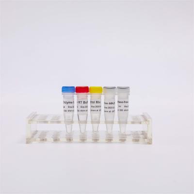 China R1031 GDSBio First Strand CDNA Synthesis RT-PCR Mix For QPCR Premixed RNA Reverse Transcriptase PCR Reagents for sale
