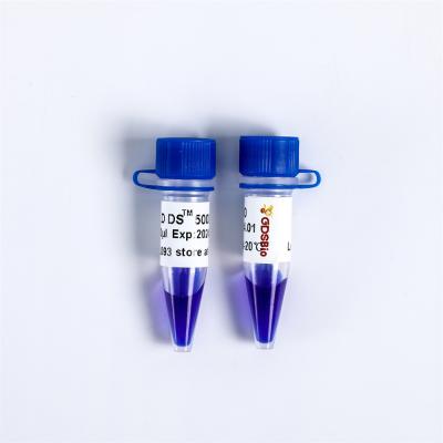 China Nucleic Acid Dye LD DS 5000 DNA Marker Electrophoresis Ladder LM1111 LM111 for sale