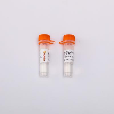 China 2X One Step Prime RT QPCR Mix Probe Real - Time PCR Applications V5007 25uL/Rxn for sale
