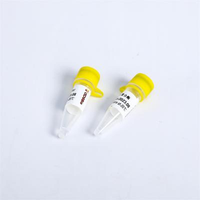 China KASP PCR Mix II P4021b P4022b SNP InDels Nachweis zu verkaufen