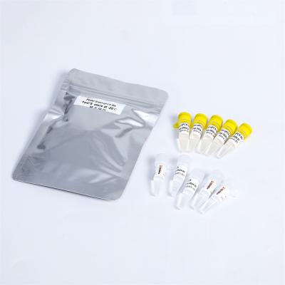 China P2101 QPCR Master Mix Power Green QPCR Kit 400 Rxn 20μL Reaction for sale