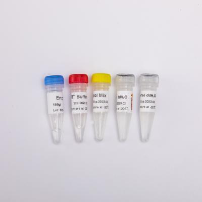 중국 QPCR를 위한 R1031 그드스비오 RT 혼합은 역전사 효소 PCR 시약을 사용 전에 혼합시켰습니다 판매용