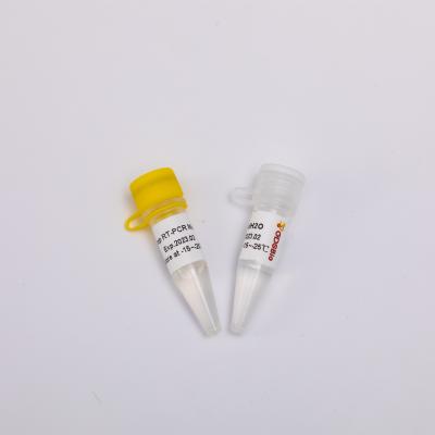 중국 그드스비오 RNA 역전사와 종점 PCR 장비 단일 스텝 RT 혼합 RP1001 판매용