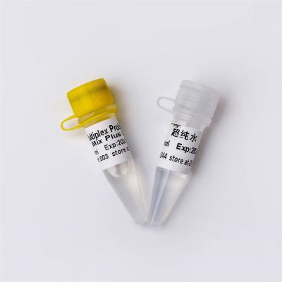 중국 우드그 효소와 집중된 프리믹스 다중화 탐침 2× QPCR 실시간 PCR 마스터 믹스 판매용