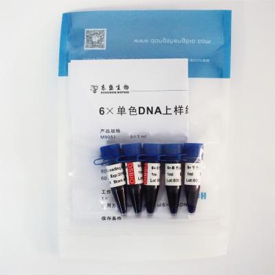 China Reagentes específicos de carregamento da eletroforese do ADN do amortecedor do gel de M9051 1mlx5 6× à venda