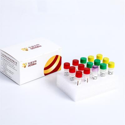 China One Tube NGS Library Construction Fast DNA Library Prep Kit For MGI KM001-A KM001-B for sale