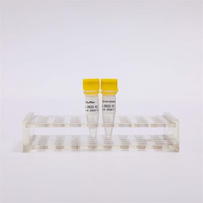 China cDNA Rechts-PCR Gouden Omgekeerde Transcriptase R3001 2000U R3002 10000U Te koop