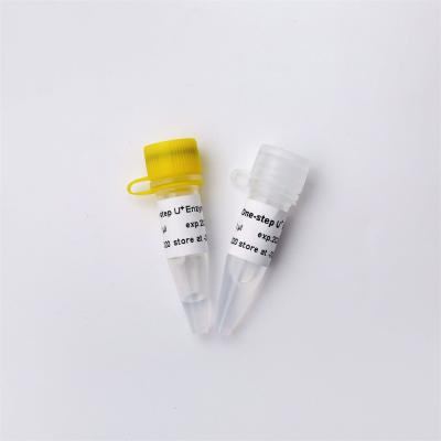 China One Step RNA/DNA RT QPCR Master Mix With UDG V3 for sale