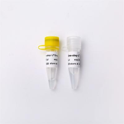 China High Specificity One Step RNA/DNA RT QPCR Master Mix With UDG V3 for sale