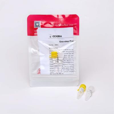 China Nucleic Acid Test Kit Raw Materials One Step RNA/DNA RT QPCR Master Mix With UDG V3 for sale