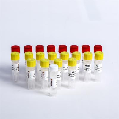 Китай Тест COVID-19 антигена Immunochromatography коллоидного золота быстрый вирусный продается