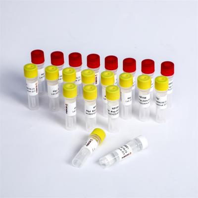 Cina Metodo colloidale dell'oro della prova virale rapida dell'antigene della saliva SARS-CoV-2 in vendita