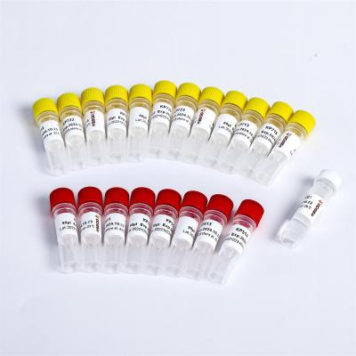 China Universal Adapter PCR Primers Multiplex Oligos 2 For Illumina K002-B for sale