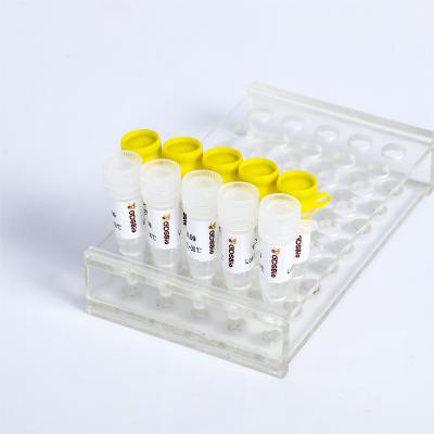 Chine Détection par PCR KASP du mélange maître P4021 P4022 SNP InDels à vendre