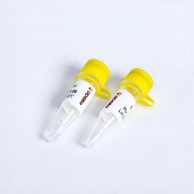 China Colourless T4 DNA Ligase (Fast) #K012 for sale