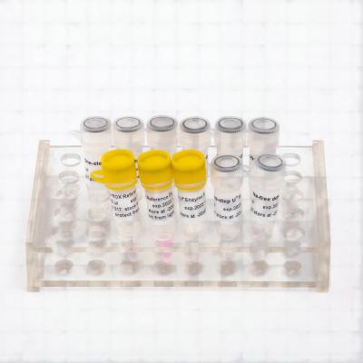 China GDSlyo Hotstart Taq polimerasa para reactivos liofilizados en venta
