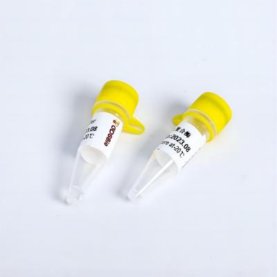 China Super TaqPlus Green PCR Mix # K034 150X la fidelidad de Taq en venta