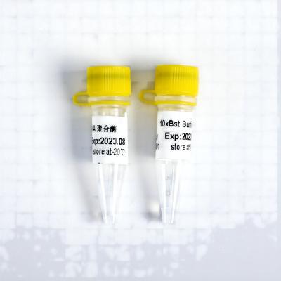 China Professional T4 DNA Polymerase #K011 for sale