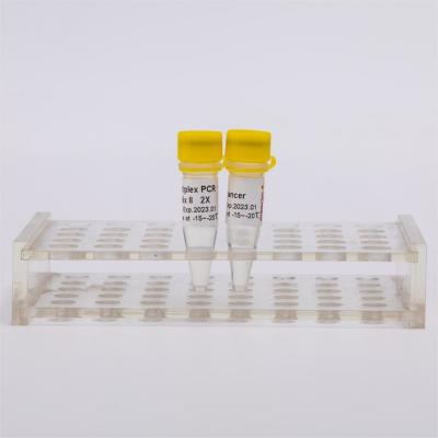 China Professional Grade Molecular Biology DNA Polymerase I for sale