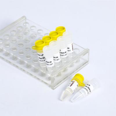 China Fast Restriction Endonuclease NcoI for sale
