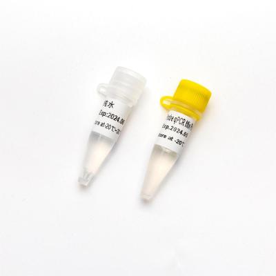 China KASP PCR MixPlus SNP Detection Genotyping en venta