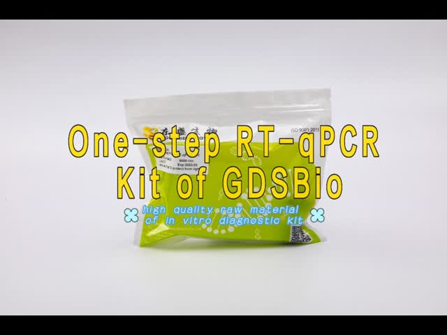 One Step RT QPCR Master Mix of GDSBio