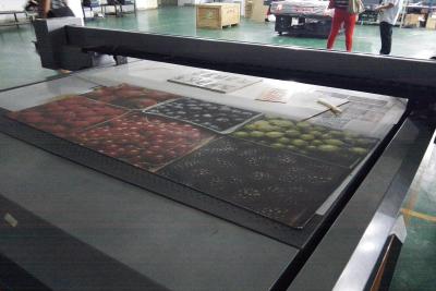 China Wide Format UV Flatbed Printer with Microsoft Windows System RICOH GEN4 / GEN5 for sale