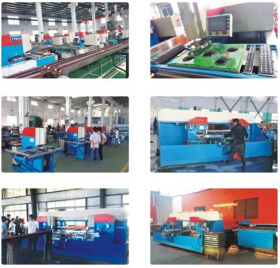 China Full Automatic CNC Glass Drilling Machine for Sightseeing / Shower Glass for sale