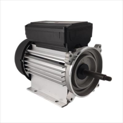 China 300-500W Submersible Motor Single Phase Electric 1hp 3000rpm For Circulating Pumps for sale