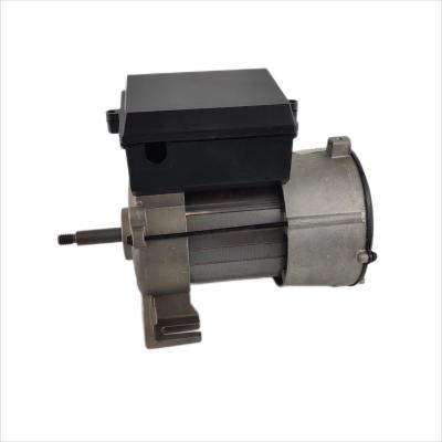 China 0.75hp Electric Water Pump Motor Single Phase 10 Frame 208-230V For Bathtub Pump for sale